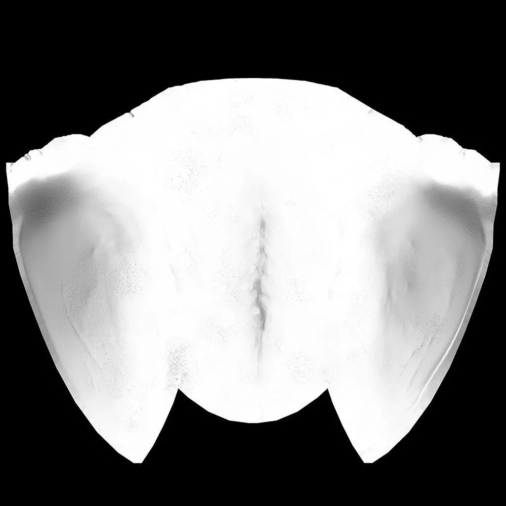 Realistic 3D Female Character riged High Poly Game Ready Low-poly 3D model_14