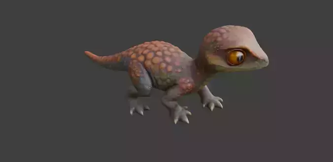 Hatchling Stoneback Lizard