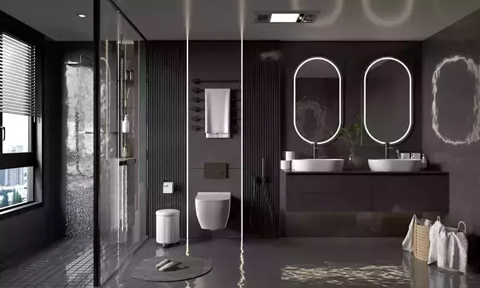 Bathroom Interior 011