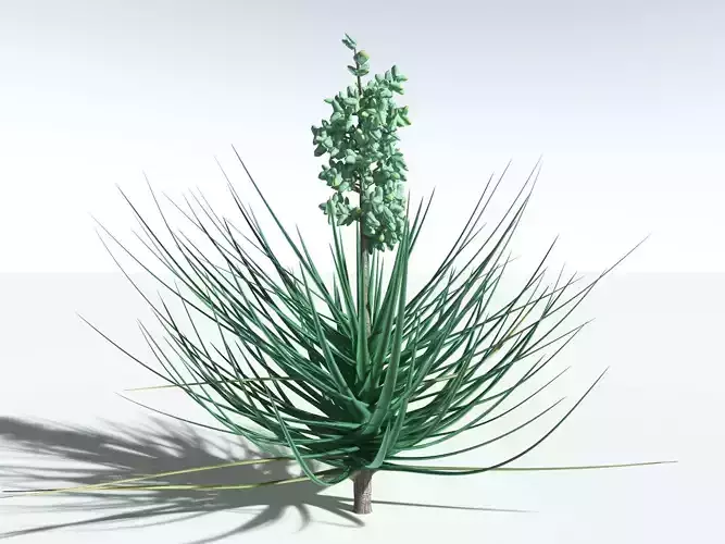 EVERYPlant Datil Yucca -20 Models- 3D model