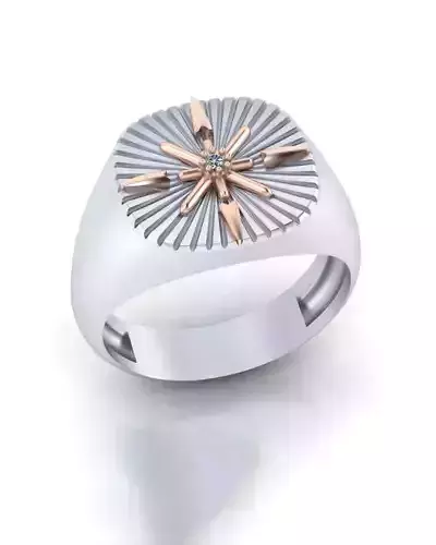 signet jewelry man  ring 
