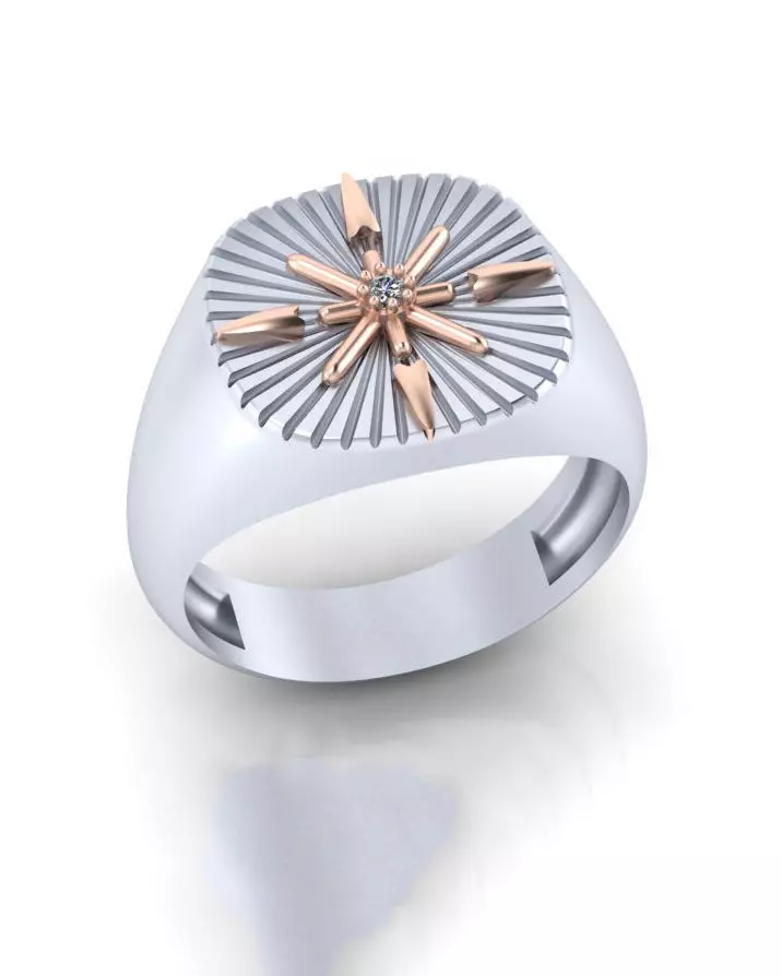 signet jewelry man ring 3D print model