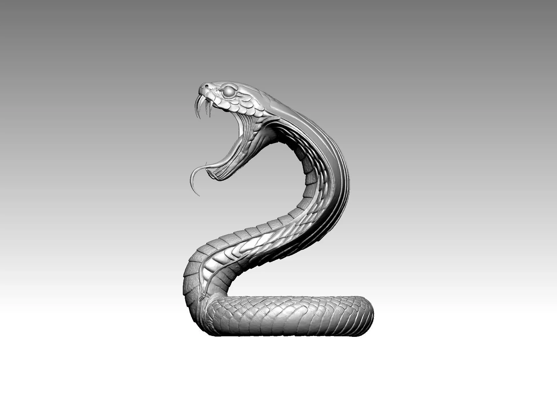 Snake Cobra Fangs 3D Model 3D print model_1