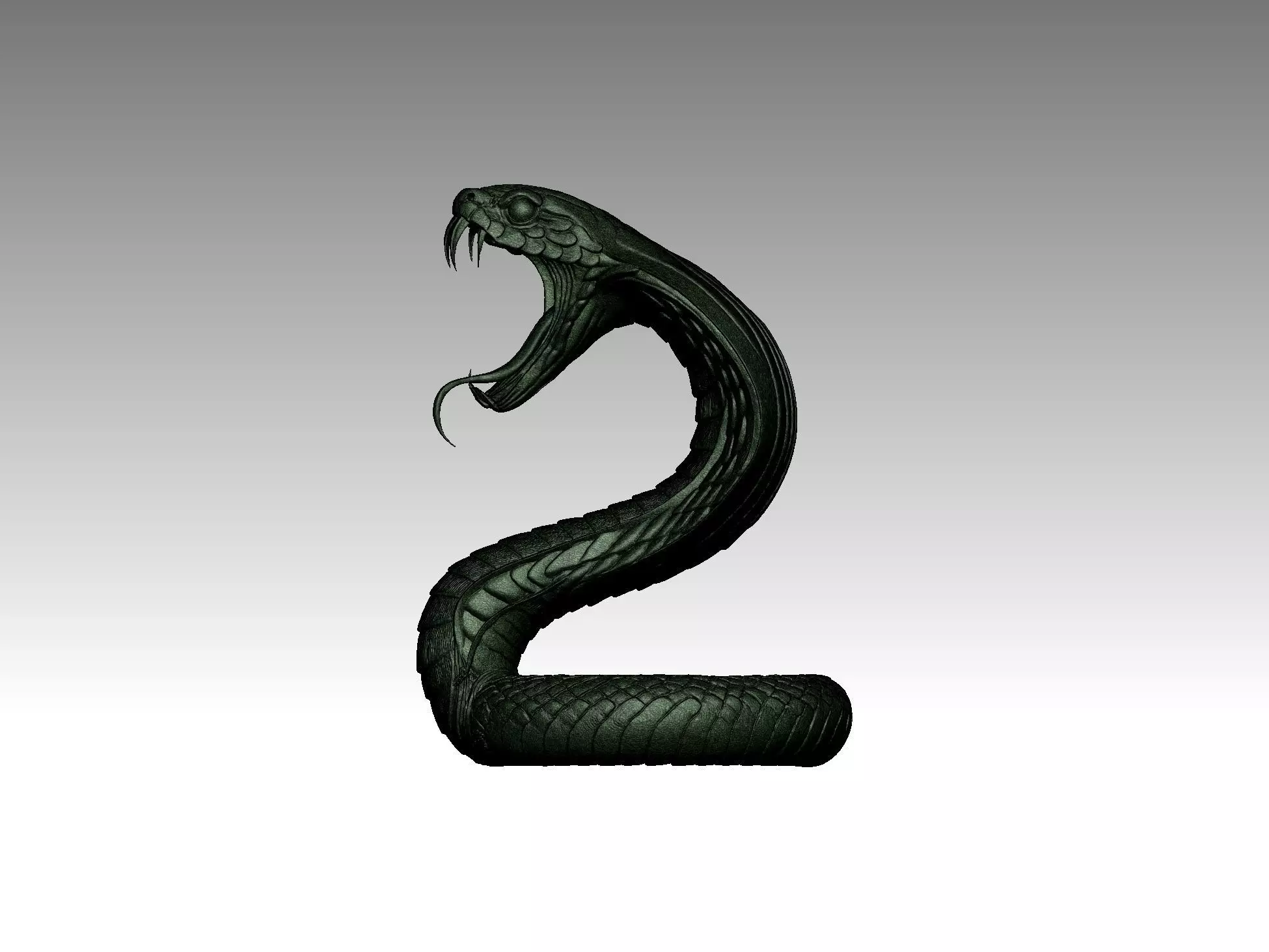Snake Cobra Fangs 3D Model 3D print model_5
