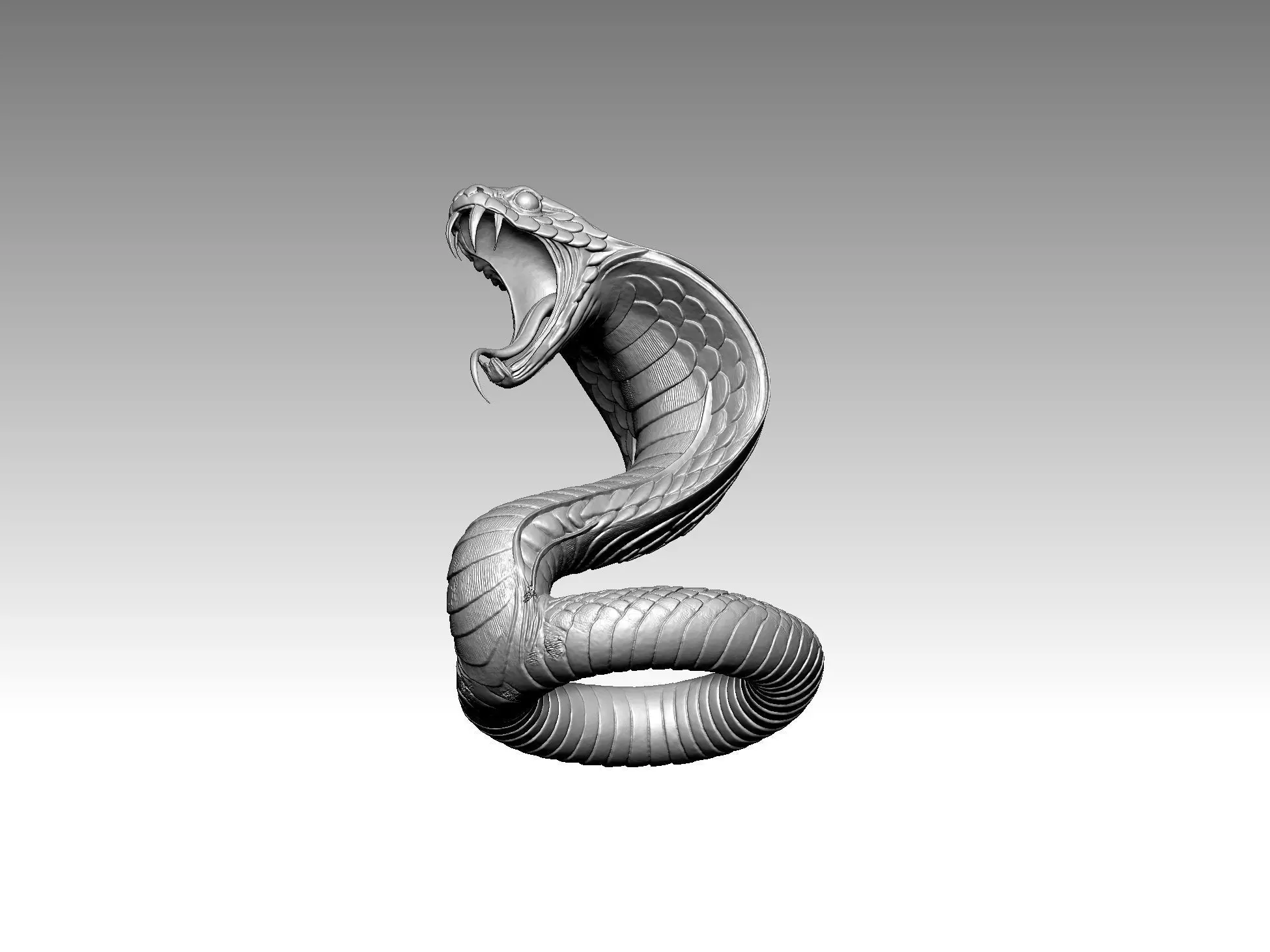 Snake Cobra Fangs 3D Model 3D print model_4