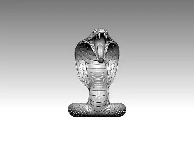 Snake Cobra Fangs 3D Model