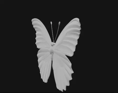 colorful butterfly  Free 3D model_7