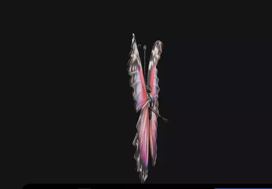 colorful butterfly  Free 3D model_3