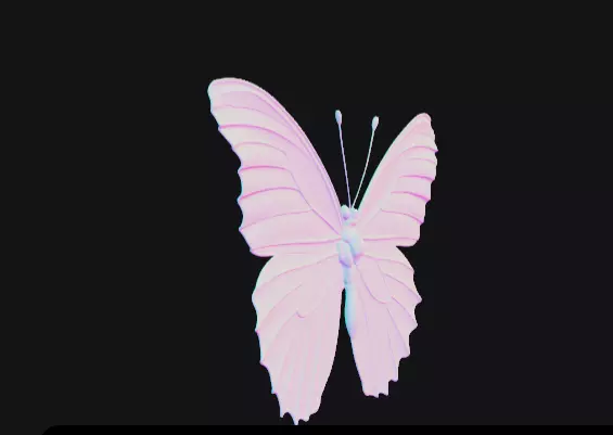 colorful butterfly  Free 3D model_9