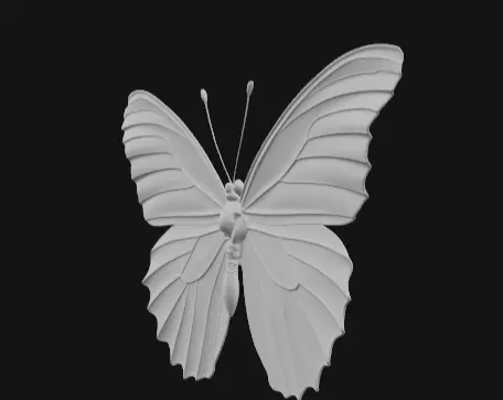 colorful butterfly  Free 3D model_5