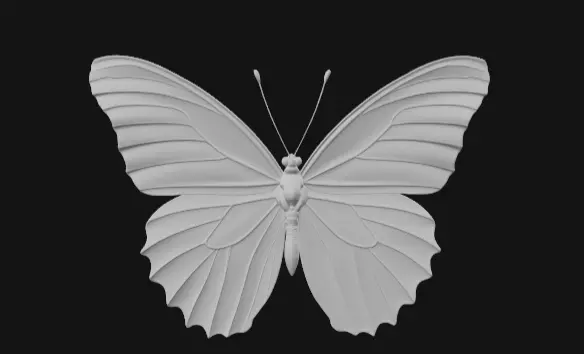 colorful butterfly  Free 3D model_6