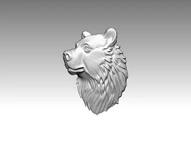 Bear Head Profile