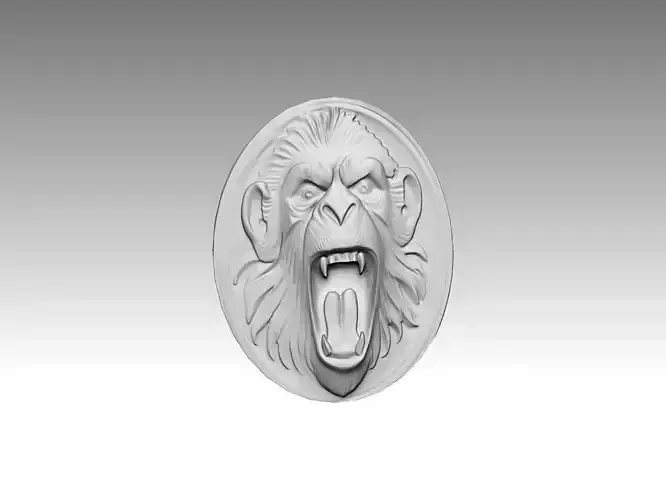 Monkey Head 3D print model