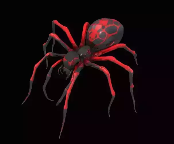 Spider
