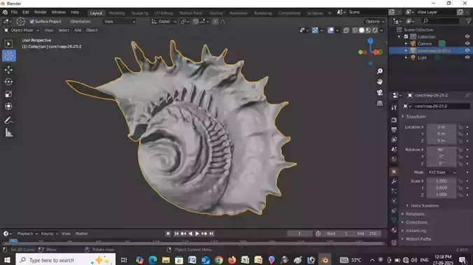 3D model of conch shell