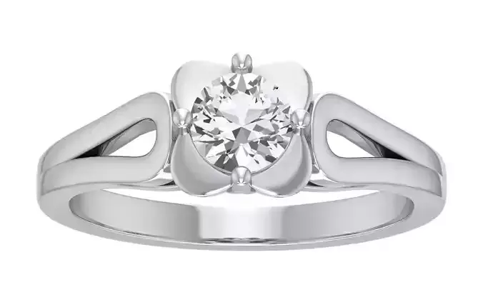 Women Ring  Render 3dm STL OBJ FBX Details