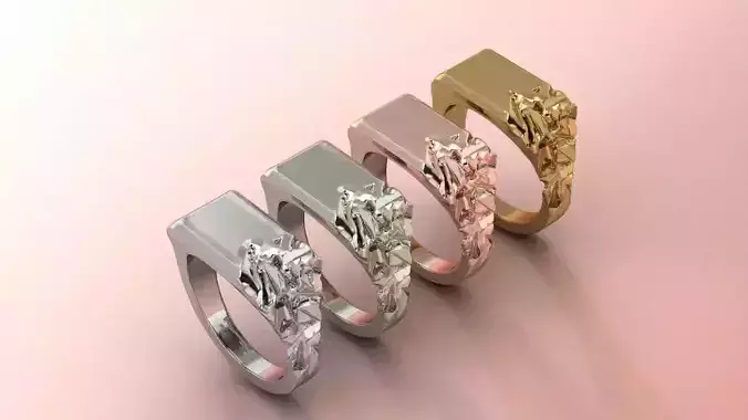 Fractured Ring Jewelry model - for Him and Her