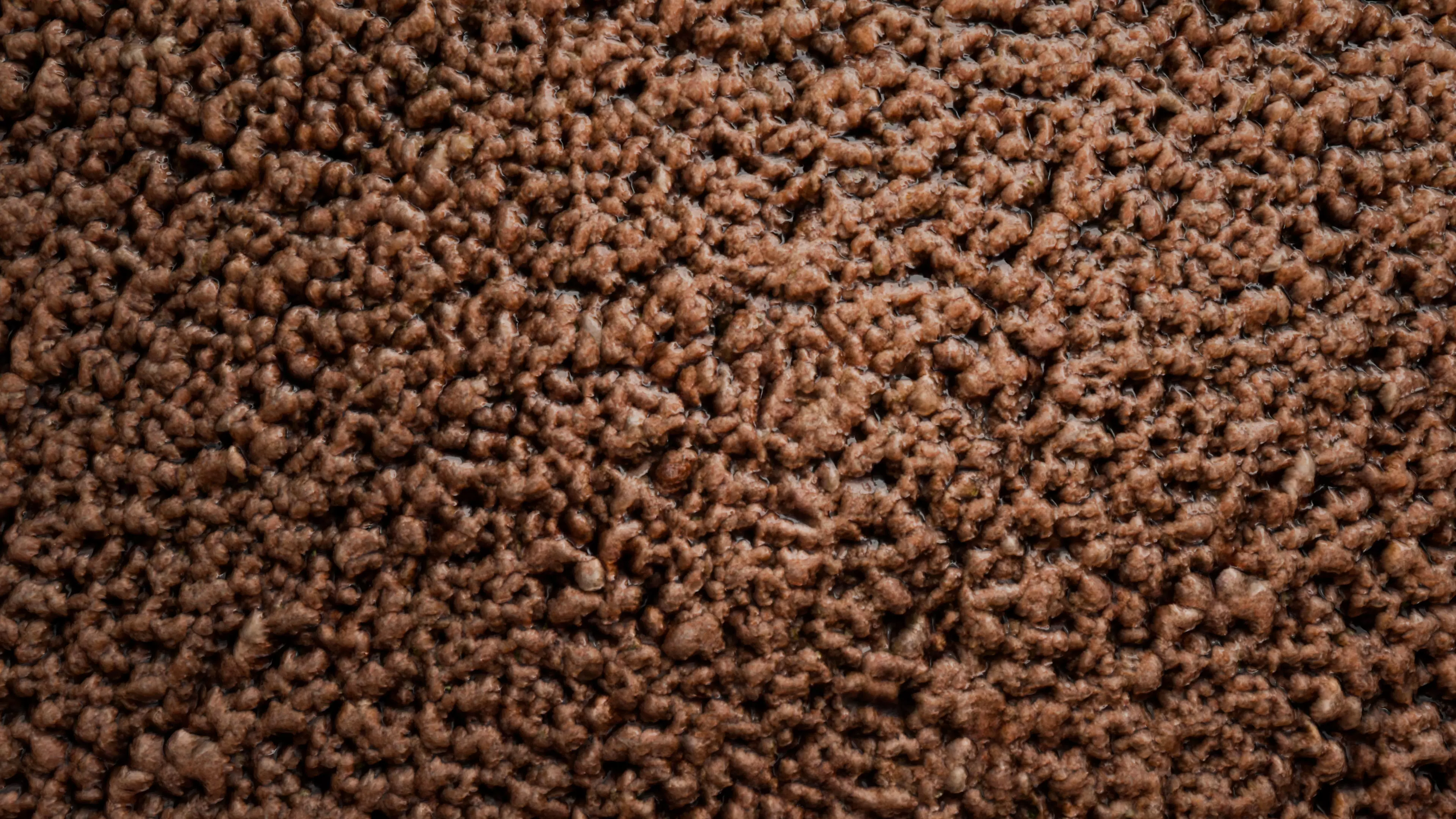 Minced Meat PBR Texture Texture_8