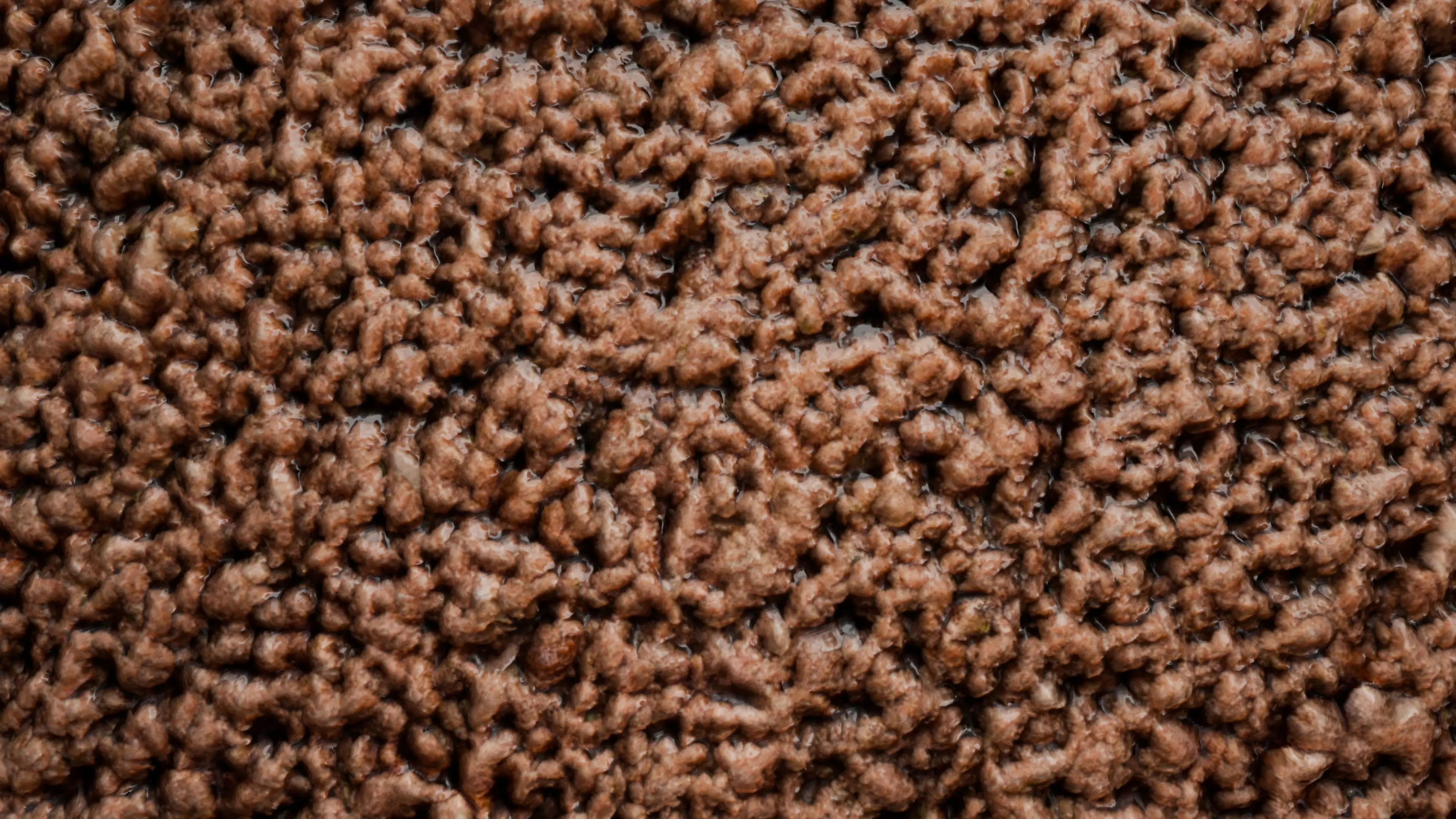 Minced Meat PBR Texture Texture_1