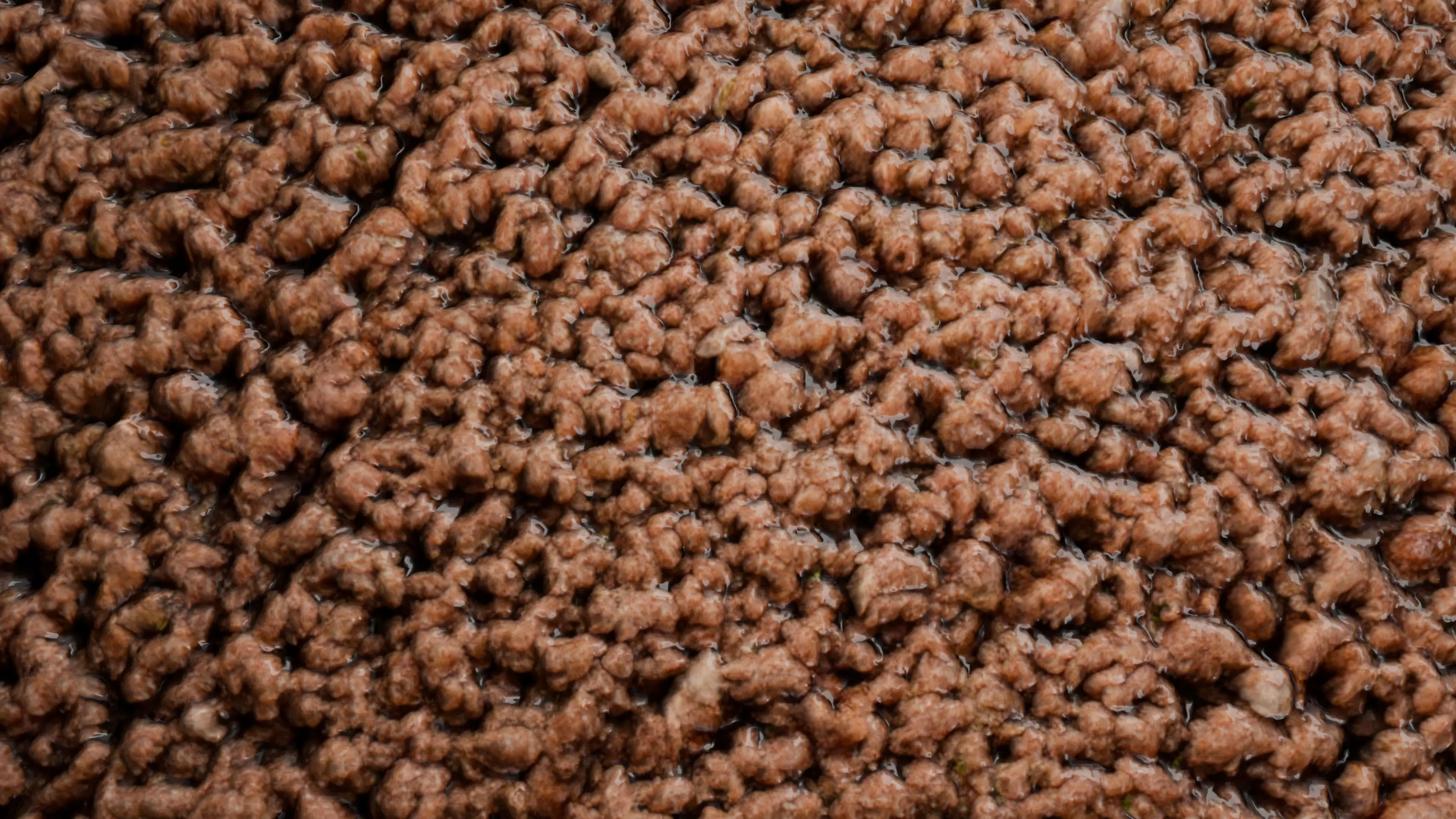 Minced Meat PBR Texture Texture_0