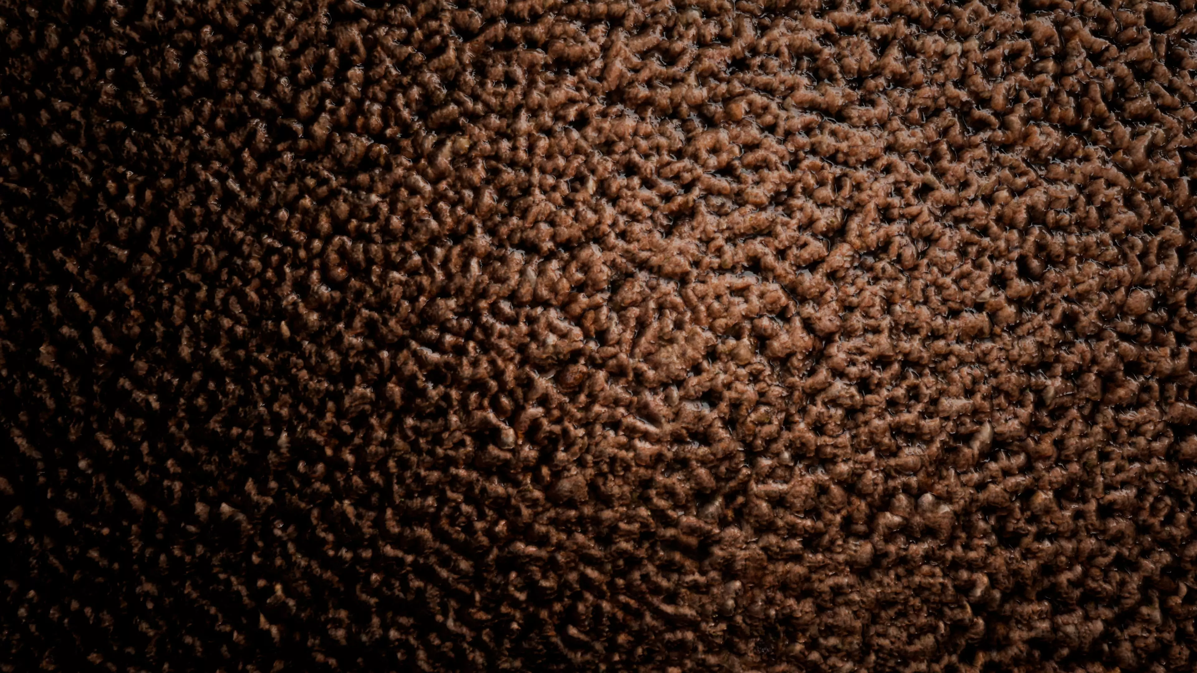 Minced Meat PBR Texture Texture_5