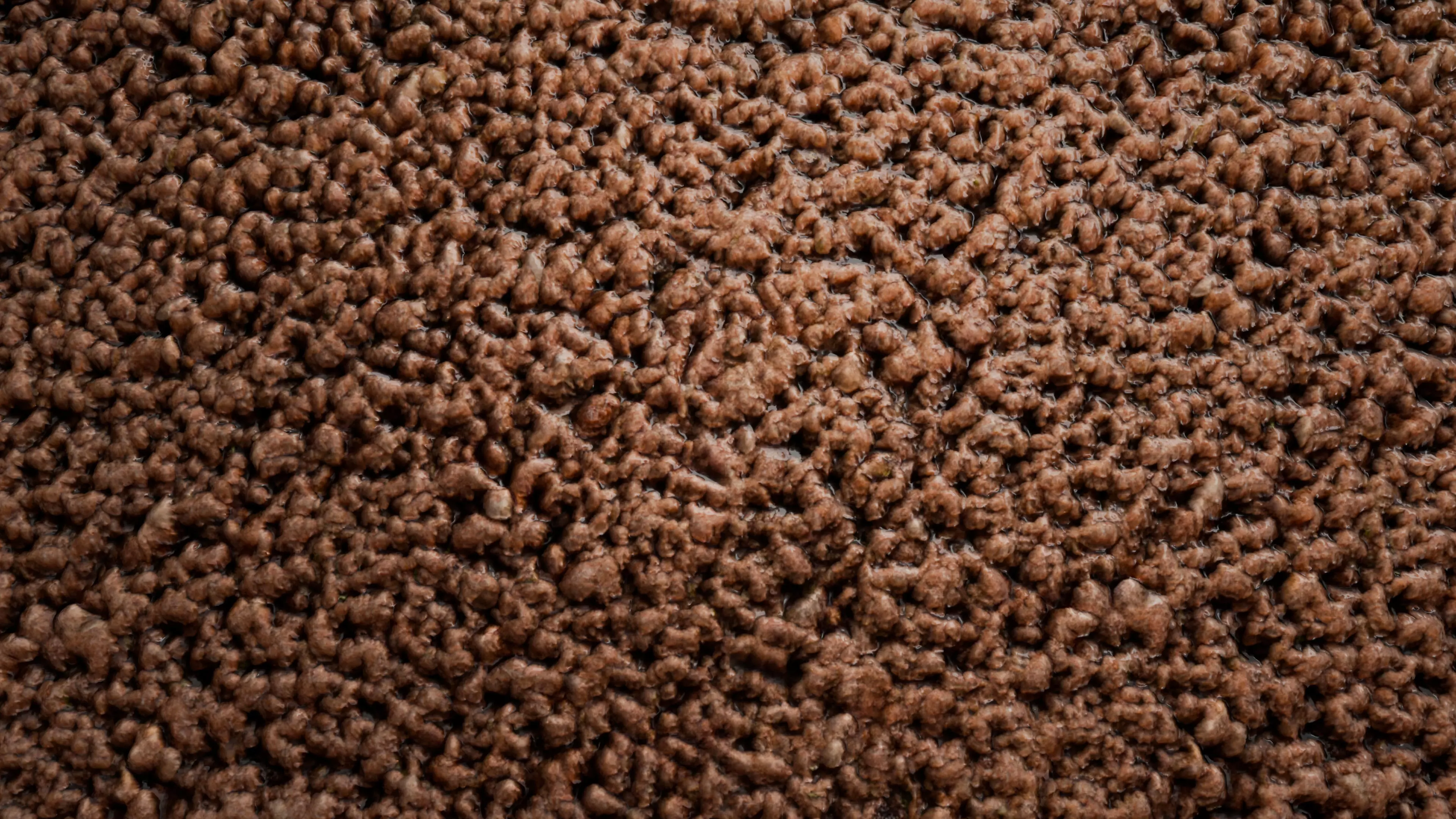 Minced Meat PBR Texture Texture_3