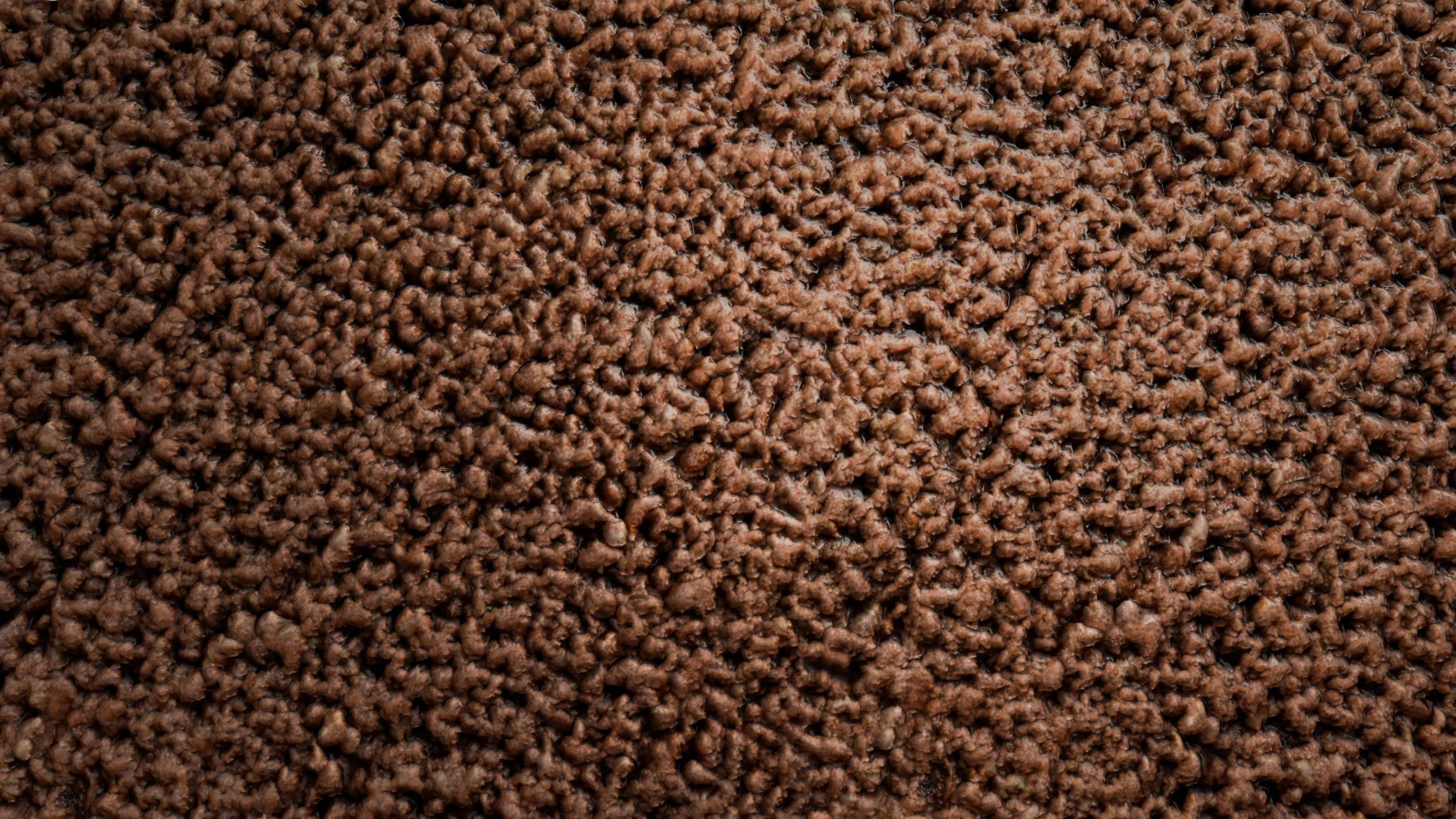 Minced Meat PBR Texture Texture_4