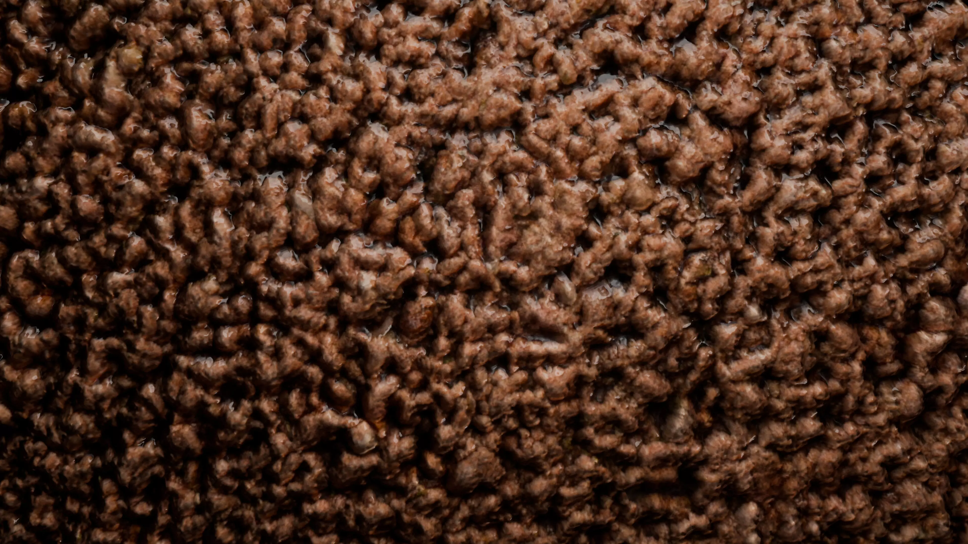 Minced Meat PBR Texture Texture_6