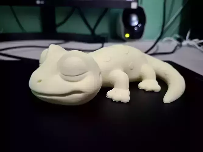 Sleeping Gecko 3D Printing Model
