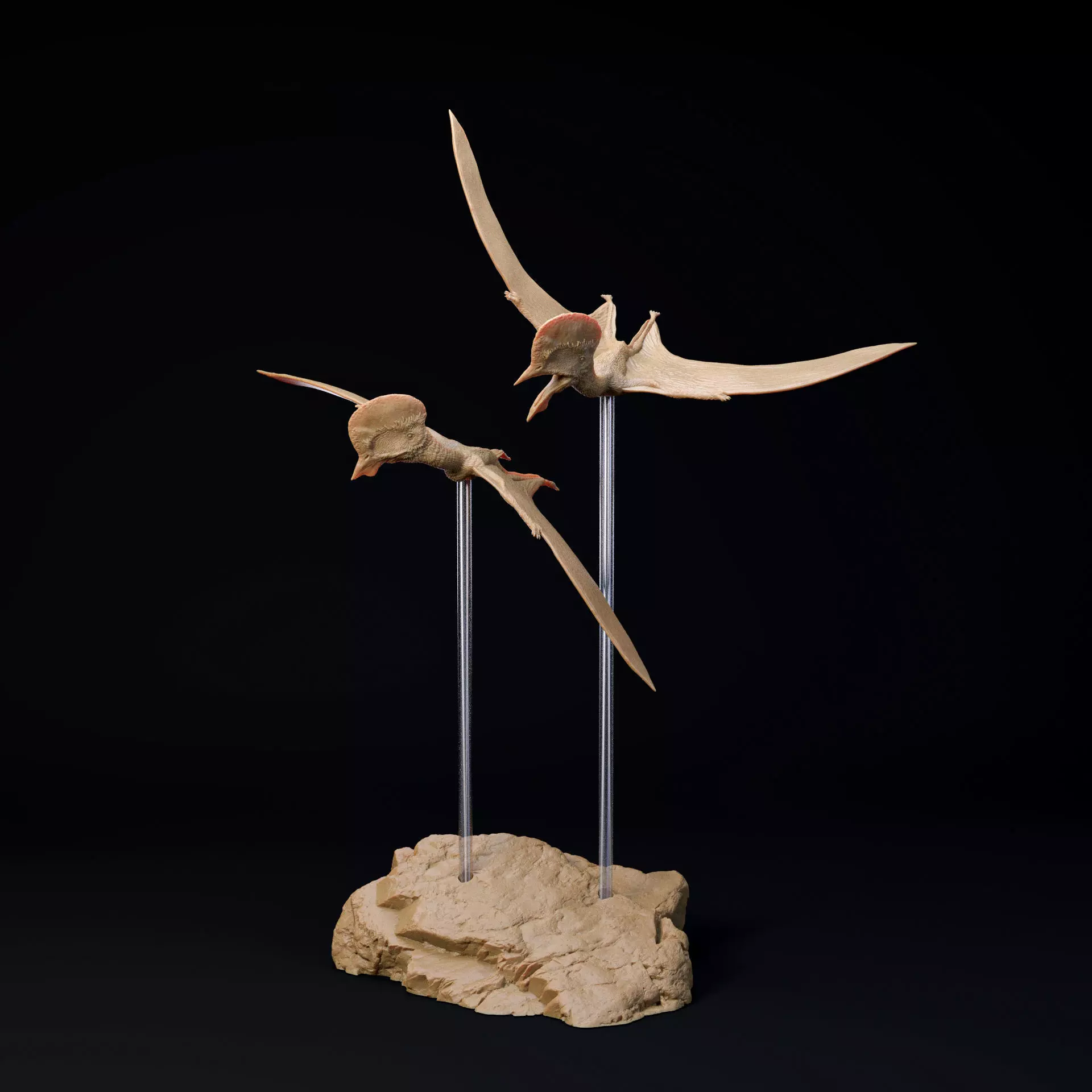 Afrotapejara pair 1-35 scale pre-supported pterosaur 3D print model_0