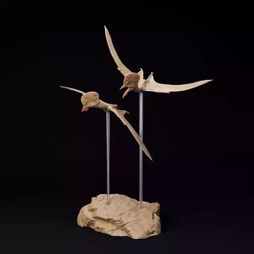 Afrotapejara pair 1-35 scale pre-supported pterosaur