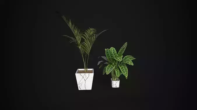 Indoor Decorative Plants Set
