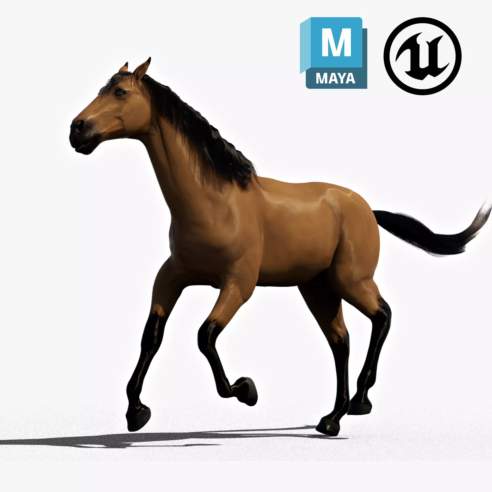 Horse Game-ready 3D model