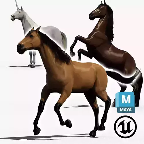 Horse Package 3D model