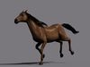 Horse Package 3D model_1