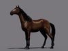 Horse Package 3D model_2