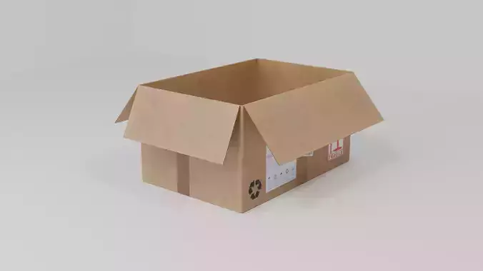 Cardboard Mailing Box opened