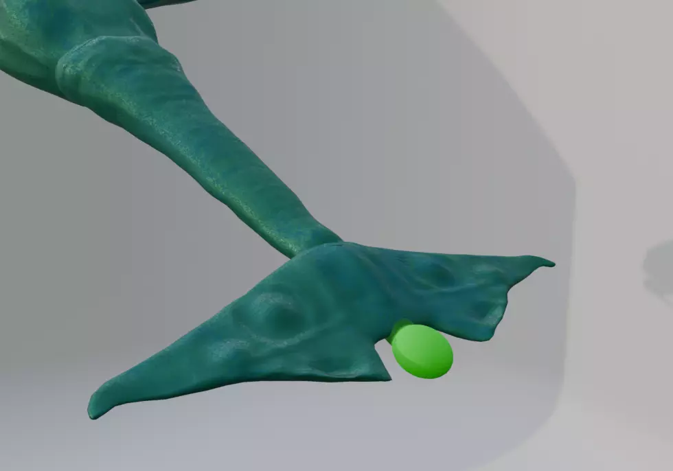Leviathan Low-poly 3D model_4