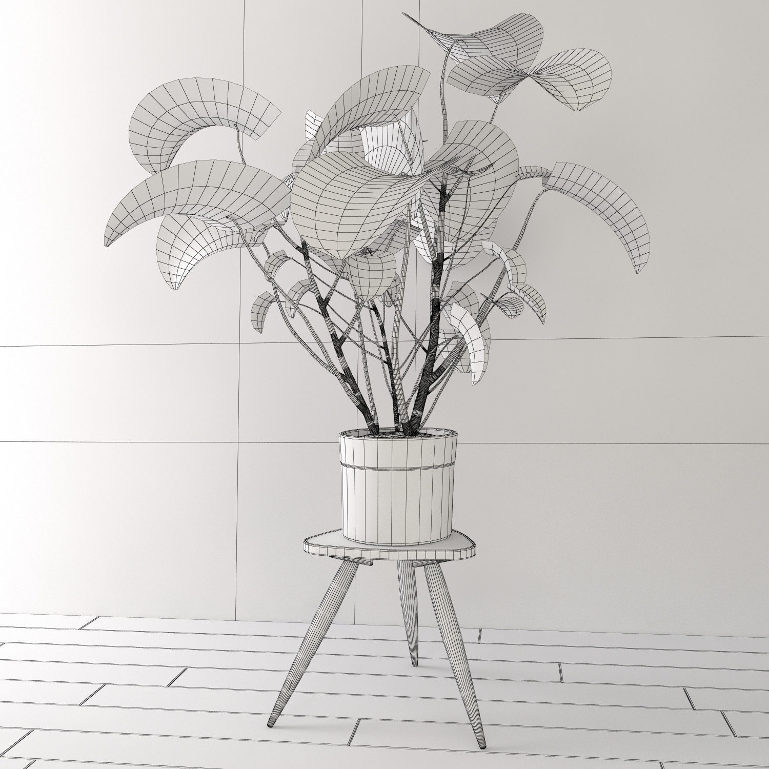 Monstera plant 3D model_3