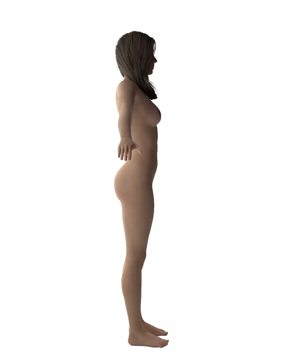 Evelyn - Realistic Female Base Mesh 3D model_15