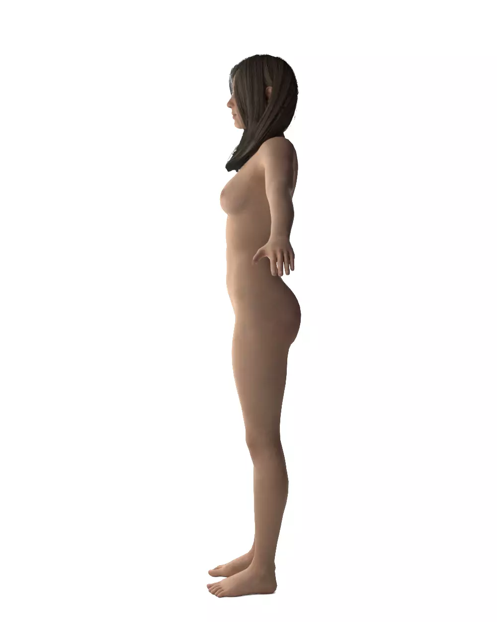 Evelyn - Realistic Female Base Mesh 3D model_7