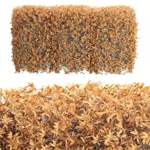 Autumn Boxwood Vol 306 3D model Autumn Boxwood Vol 306 3D model