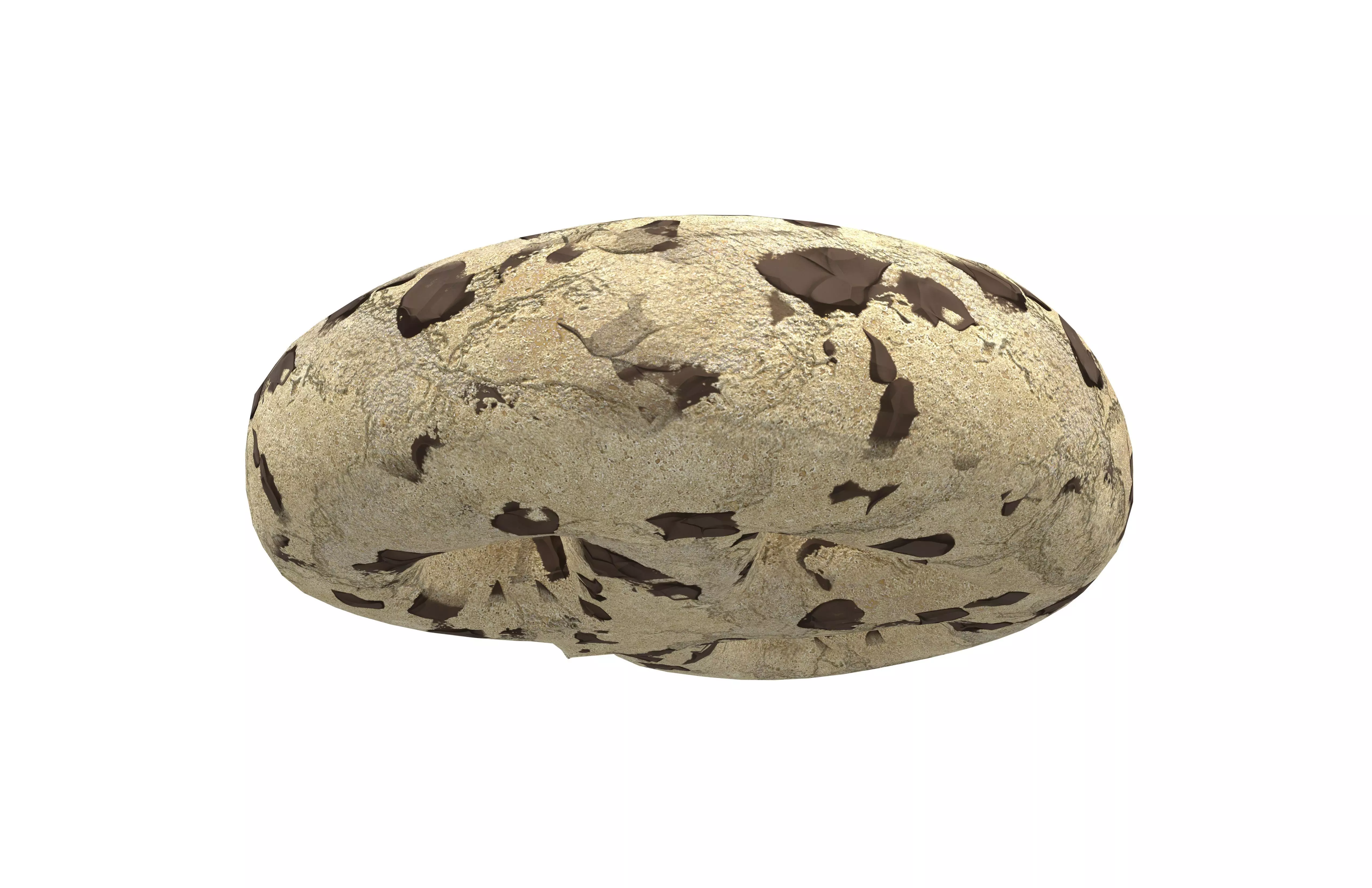 Cookie v3 002 Low-poly 3D model_3