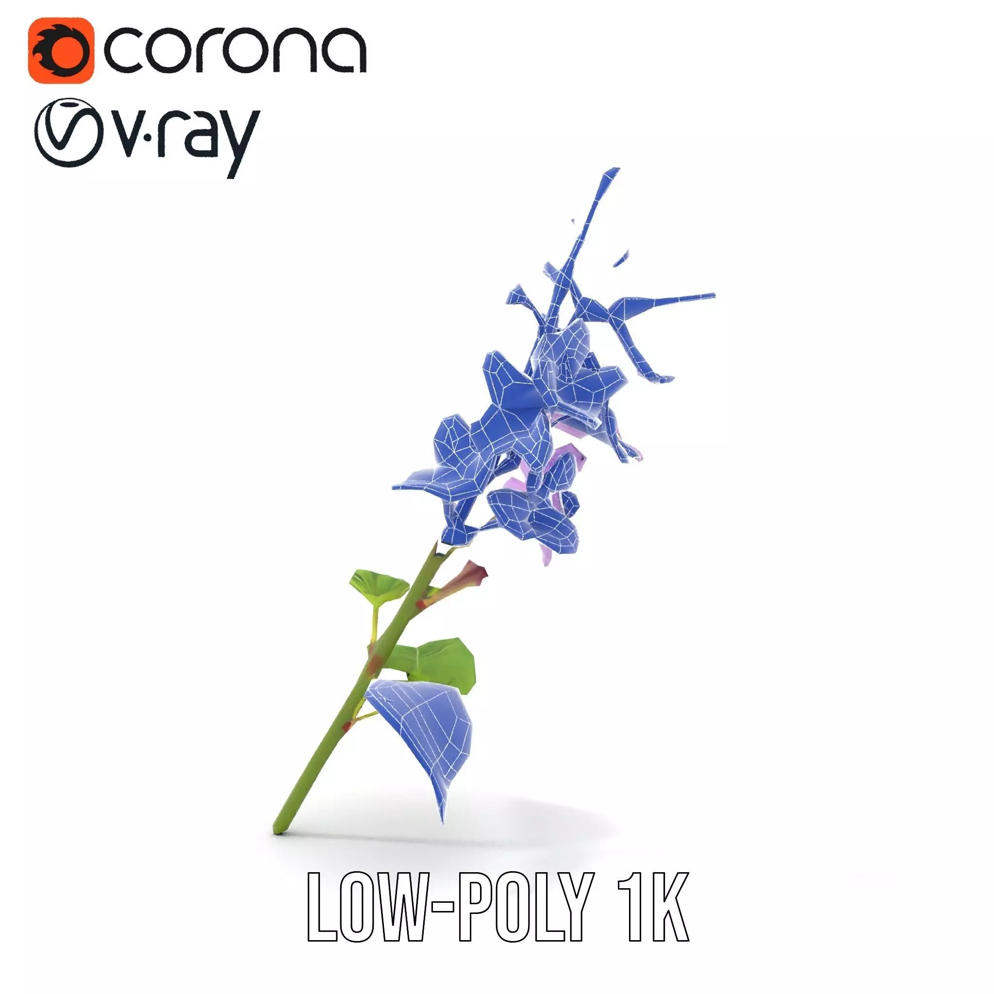 Lavender Floral Stalk model pack Low-poly 3D model_22