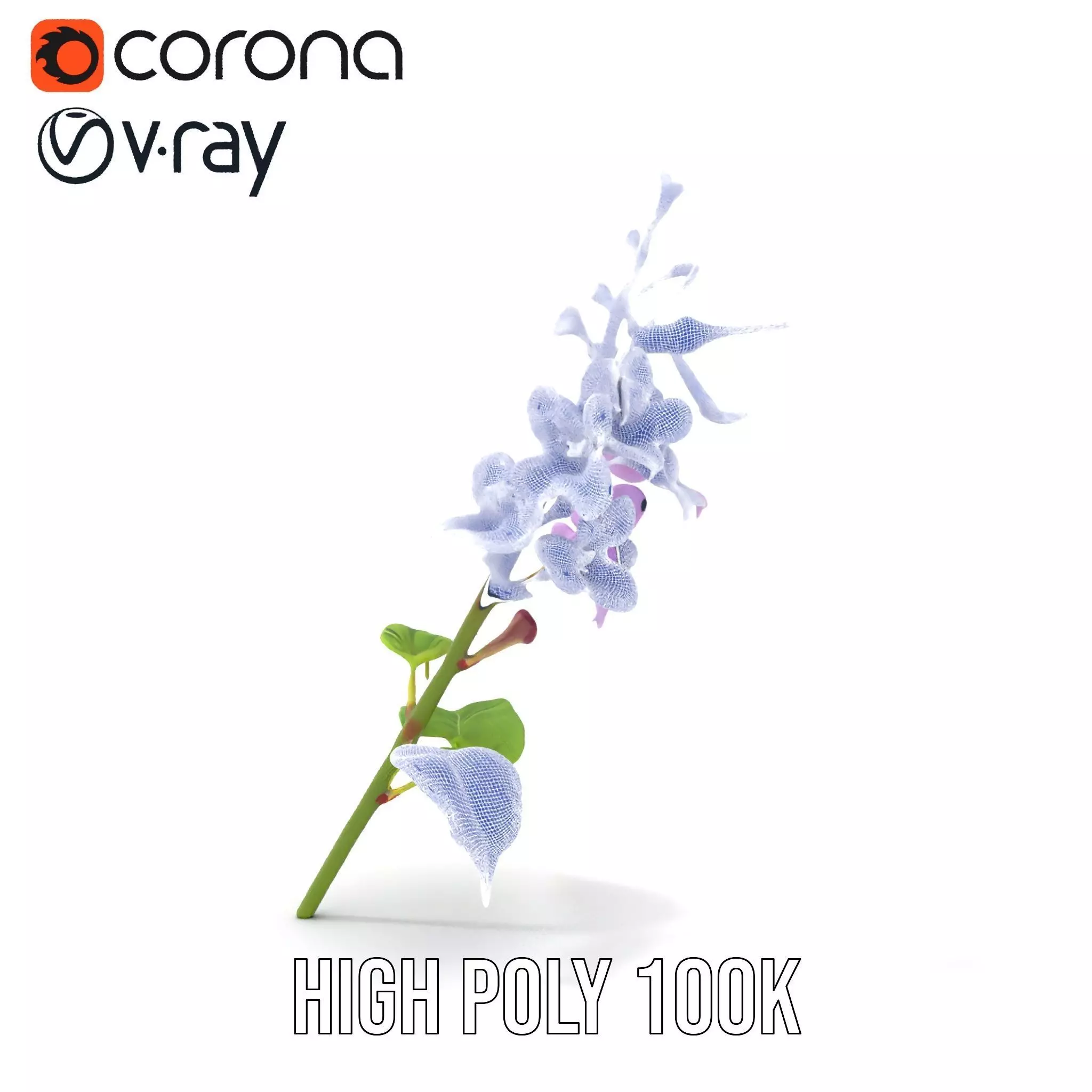 Lavender Floral Stalk model pack Low-poly 3D model_34
