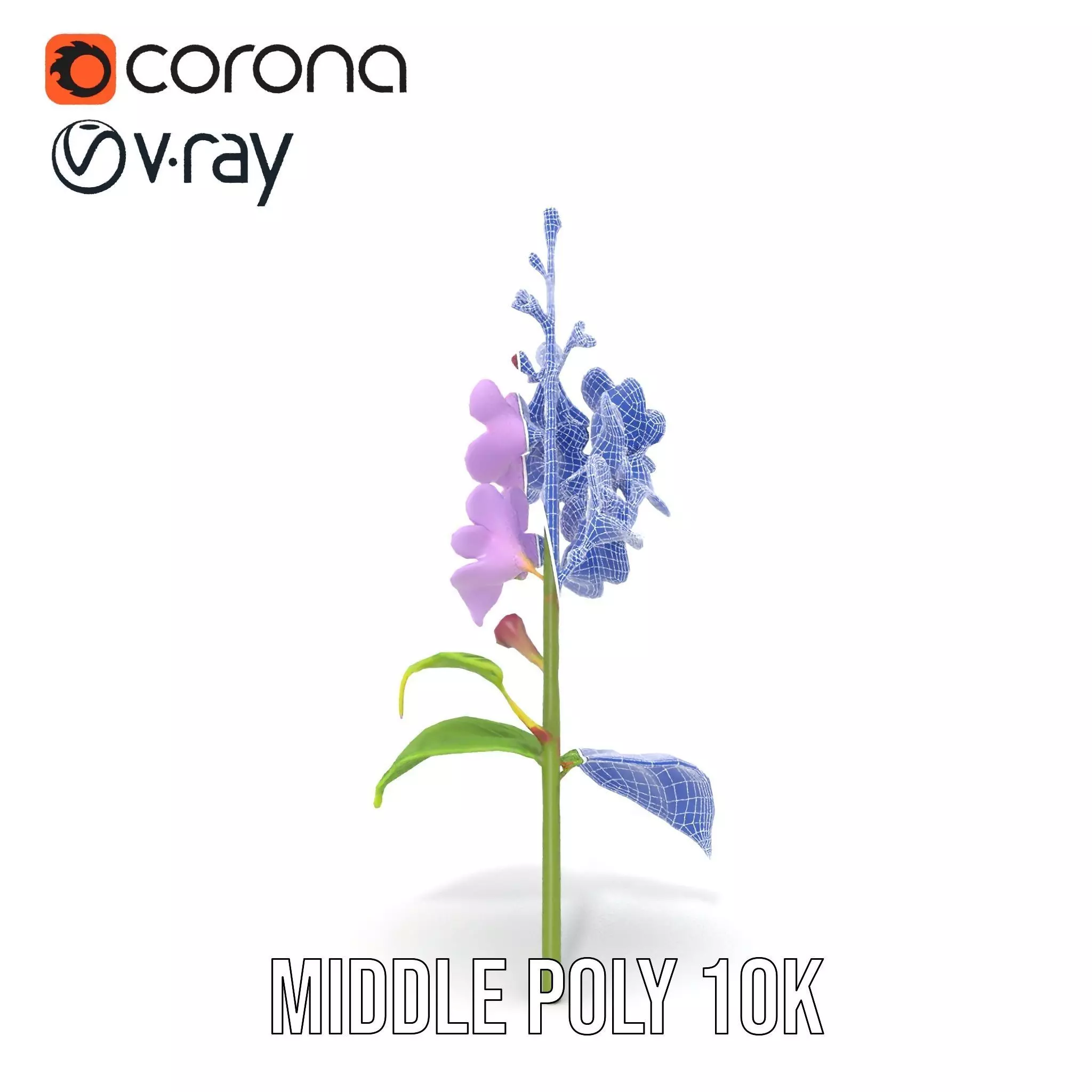 Lavender Floral Stalk model pack Low-poly 3D model_27