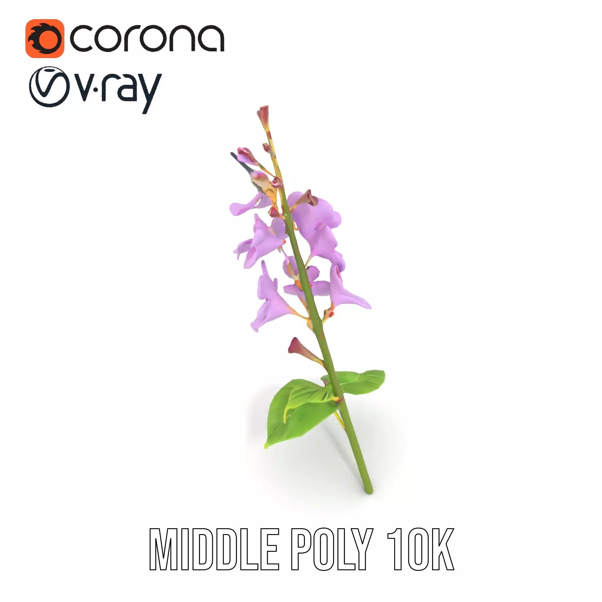 Lavender Floral Stalk model pack Low-poly 3D model_16