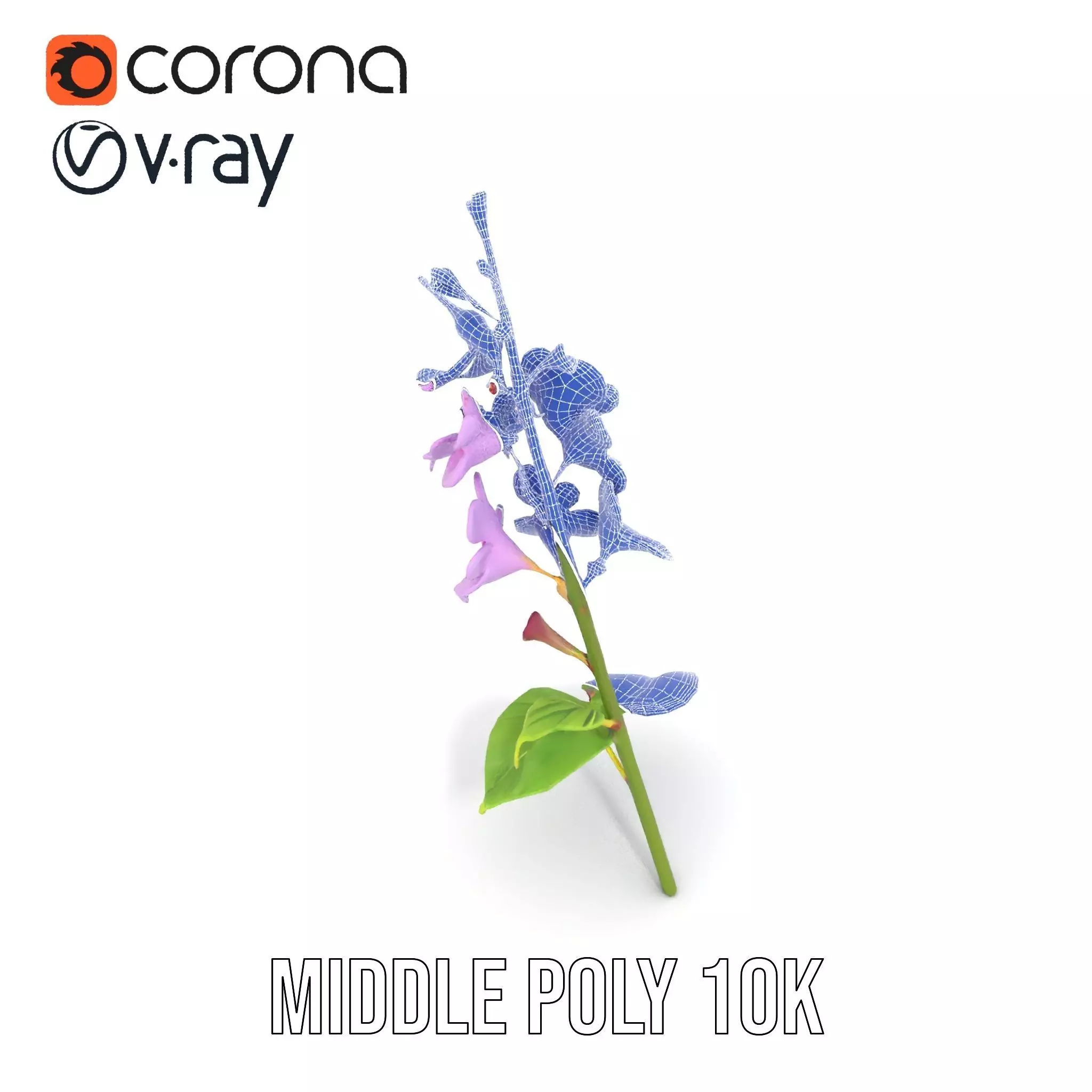 Lavender Floral Stalk model pack Low-poly 3D model_21