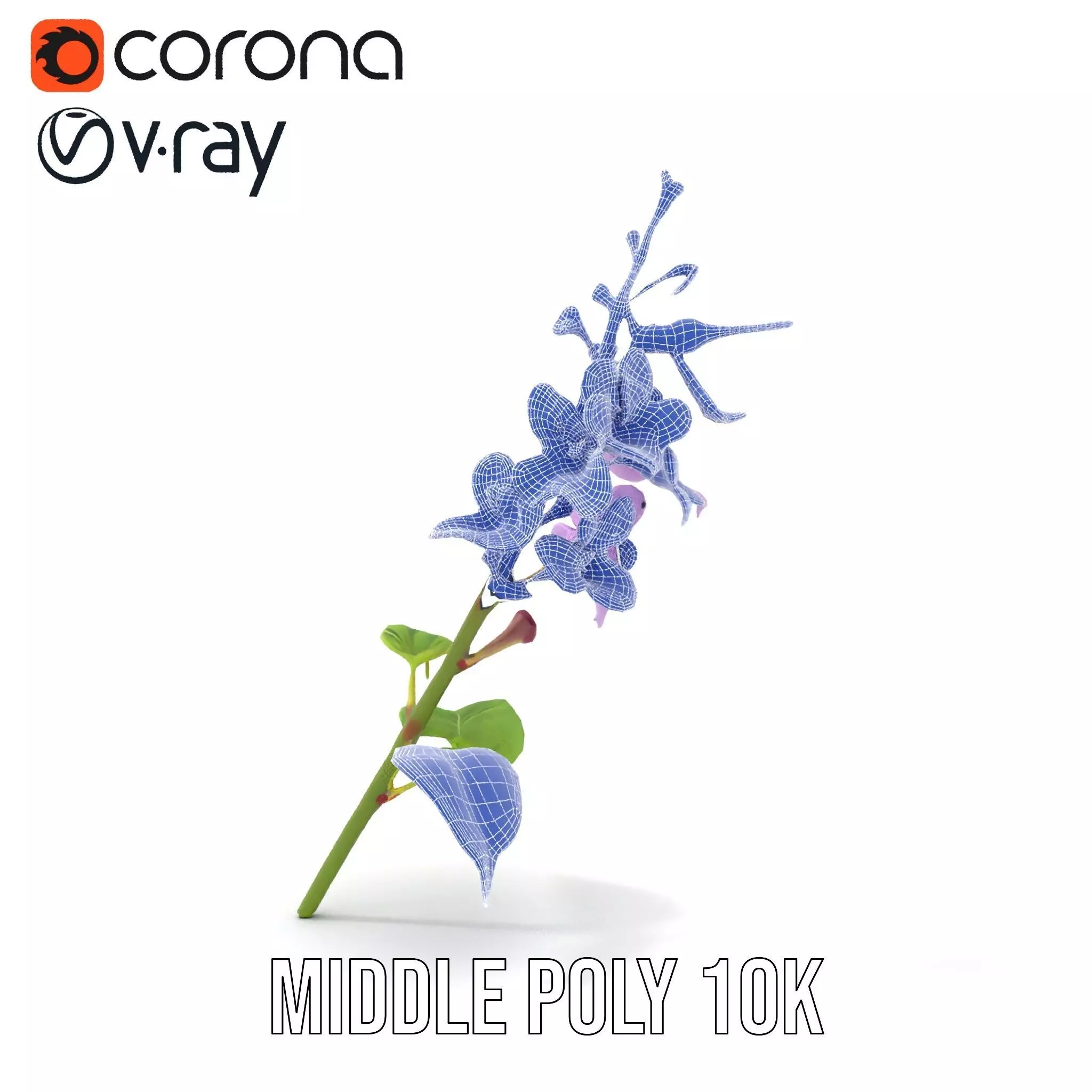 Lavender Floral Stalk model pack Low-poly 3D model_18