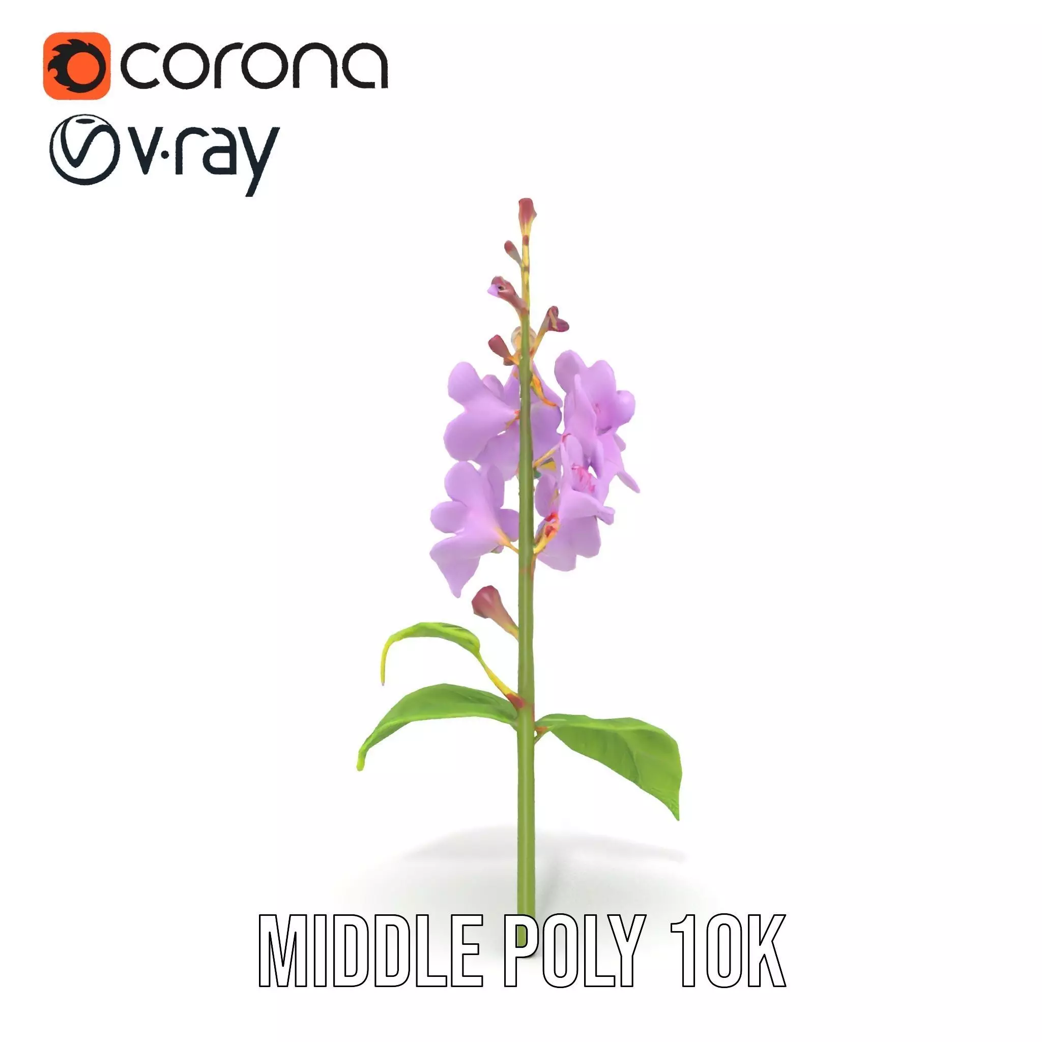 Lavender Floral Stalk model pack Low-poly 3D model_24